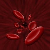 platelets-flowing